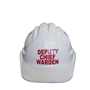 Deputy Chief Warden Helmet, White