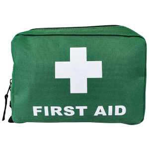 Small Green First Aid Bag 21 x 15 x 7.5cm